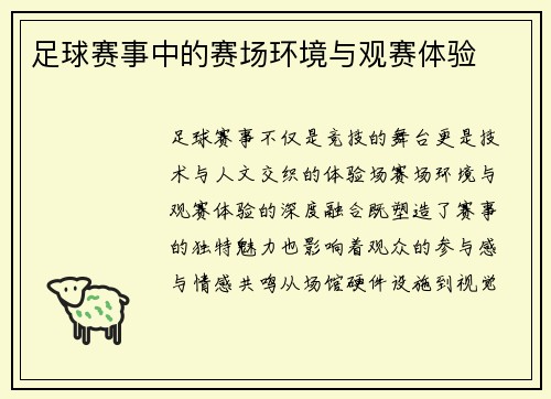 足球赛事中的赛场环境与观赛体验
