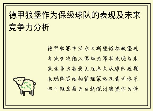德甲狼堡作为保级球队的表现及未来竞争力分析